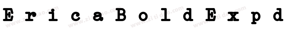 EricaBoldExpd Italic字体转换